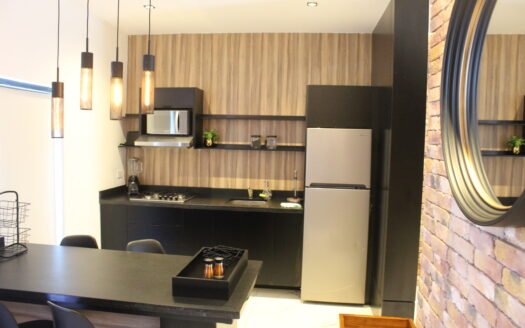 Renta de Departamento AV. Paseo de la Victoria